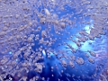 030913-ice (life)